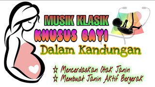 Download lagu Musik Klasik Untuk Bayi Dalam Kandungan mp3