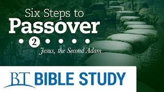 Six Steps to Passover Part 2: Jesus, the Second Adam