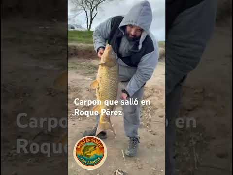 Excelente pesca en Roque Pérez con el equipo de @Puro_enganche-_pesca