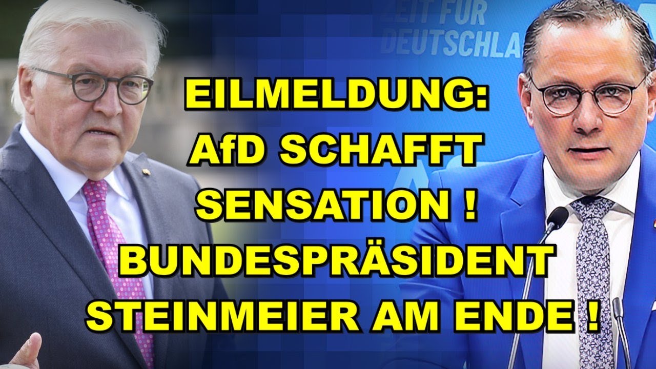 EIL: AfD-SENSATION! Steinmeier AM ENDE!