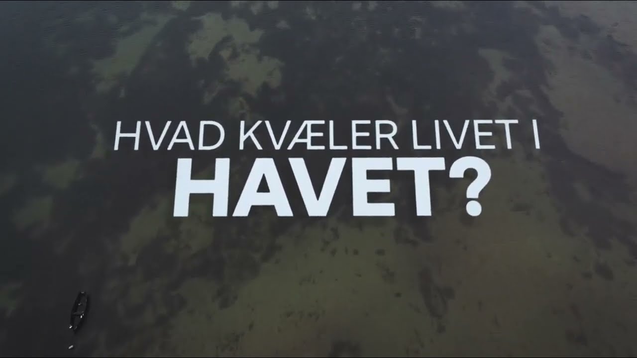 Hvorfor iltsvind? thumbnail