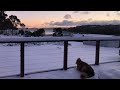 Highlight Reel Weekend In Tasmania S Central Highlands