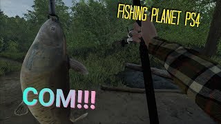 Река мадвотер миссури в fishing planet где ловить сома