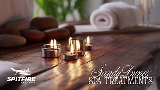 Sandy Spa biz demo for Spitfire Systems