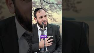 טיפ לבעל אוהב (הרב דוד פריוף) - התמונה מוצגת ישירות מתוך אתר האינטרנט יוטיוב. זכויות היוצרים בתמונה שייכות ליוצרה. קישור קרדיט למקור התוכן נמצא בתוך דף הסרטון