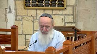 לוז – הניצוץ שניתן להציל מהקליפות – שיעור 4  – ספר שופטים – פרק א'