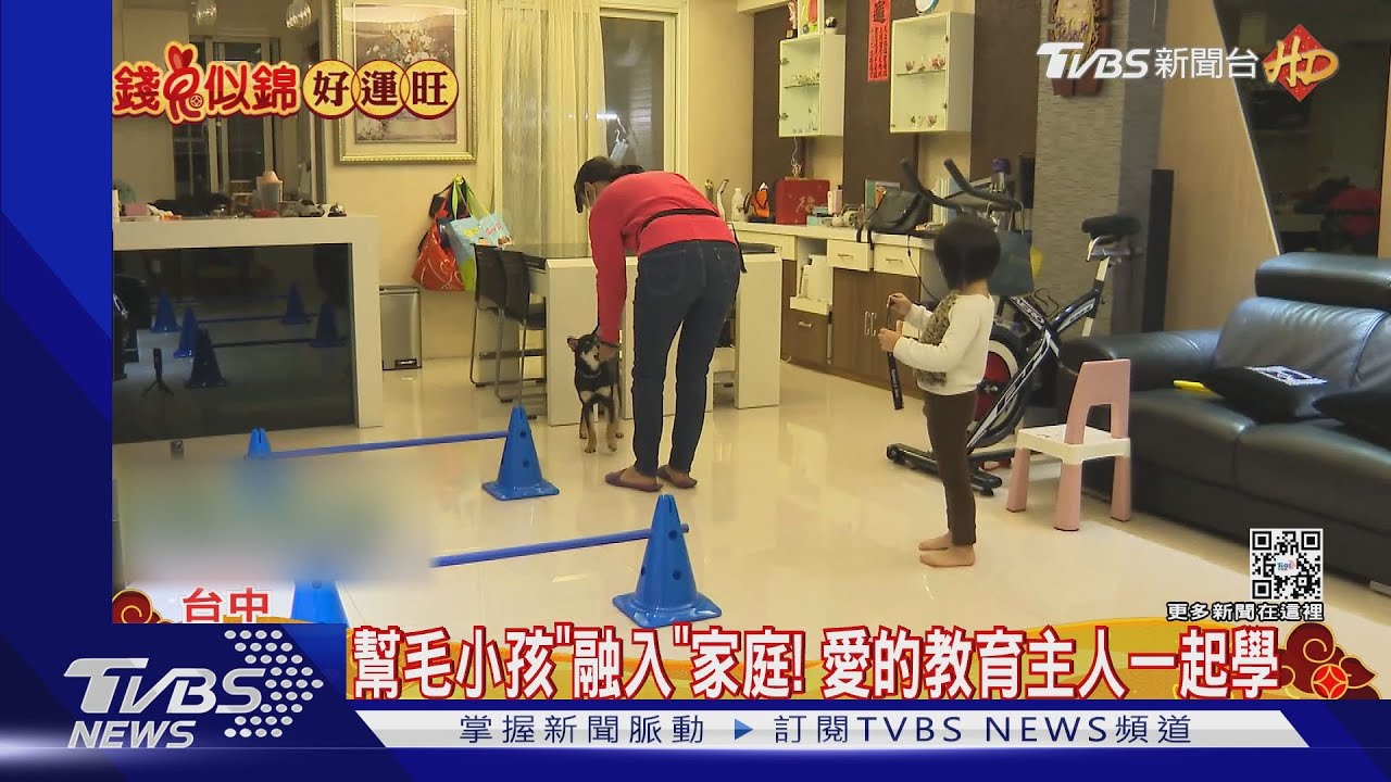 幫毛小孩「融入」家庭！　愛的教育主人一起學