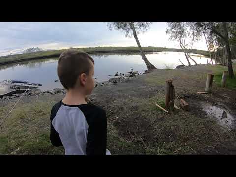 Myall River Camp - feeding the birds