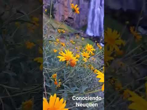 Cascada La Fragua - Manzano Amargo Norte Neuquino  #neuquén #patagonia  #argentina