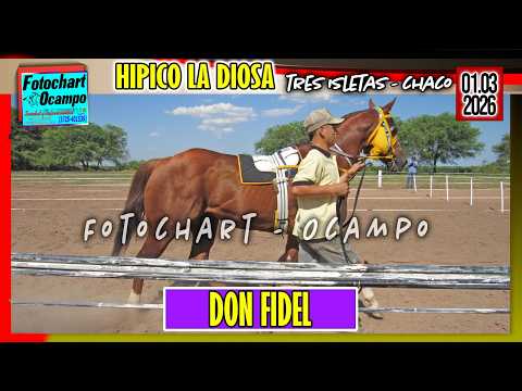 DON FIDEL Tres Isletas CH 01 03 2026