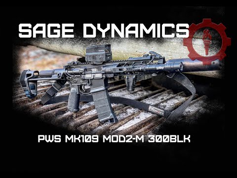 The Primary Weapons Systems MK1 Pistols