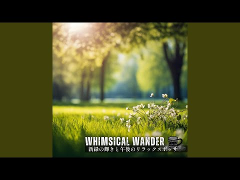 園芸 ボディニエカリカルプ、キャンディー低木