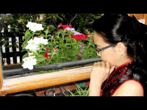 Mây bốn phương trời Sheet - Don Hồ