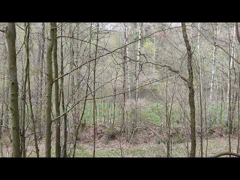 2023-04-19 #Erzgebirgsbahn bei der Einfahrt in #Hennersdorf