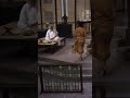 इस समय माँ ने क्यों बुलाया है ChokherBali Rabindranath