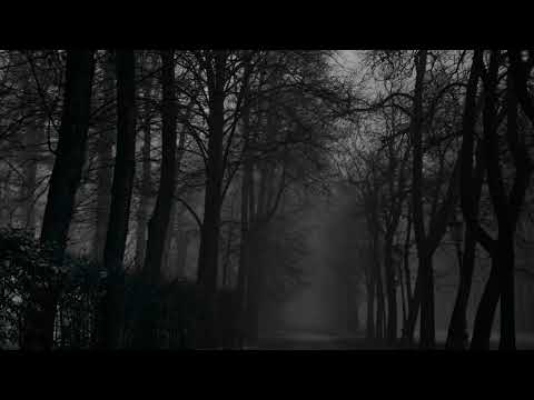 Ars Manifestia  - In Rain