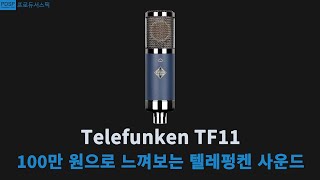 텔레펑켄 TF11 이 가격대 최고의 선택 / 라지 다이어프램 콘덴서 마이크 / c414 대항마