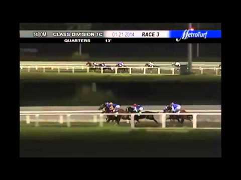 MMTCI 012114 R03 (8) GROSS INCOME