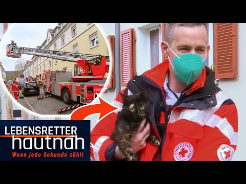 BRAND-ALARM: Micha & David müssen nicht nur Menschenleben retten!! | Lebensretter hautnah |SAT.1