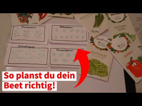 Wie man Beete richtig plant - Beetplanung in 5 Schritten [Vermeide diese Fehler]