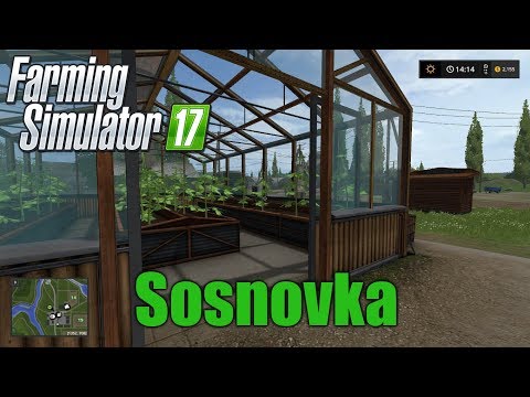 Farming Sosnovka - Greenhouse Tomatoes