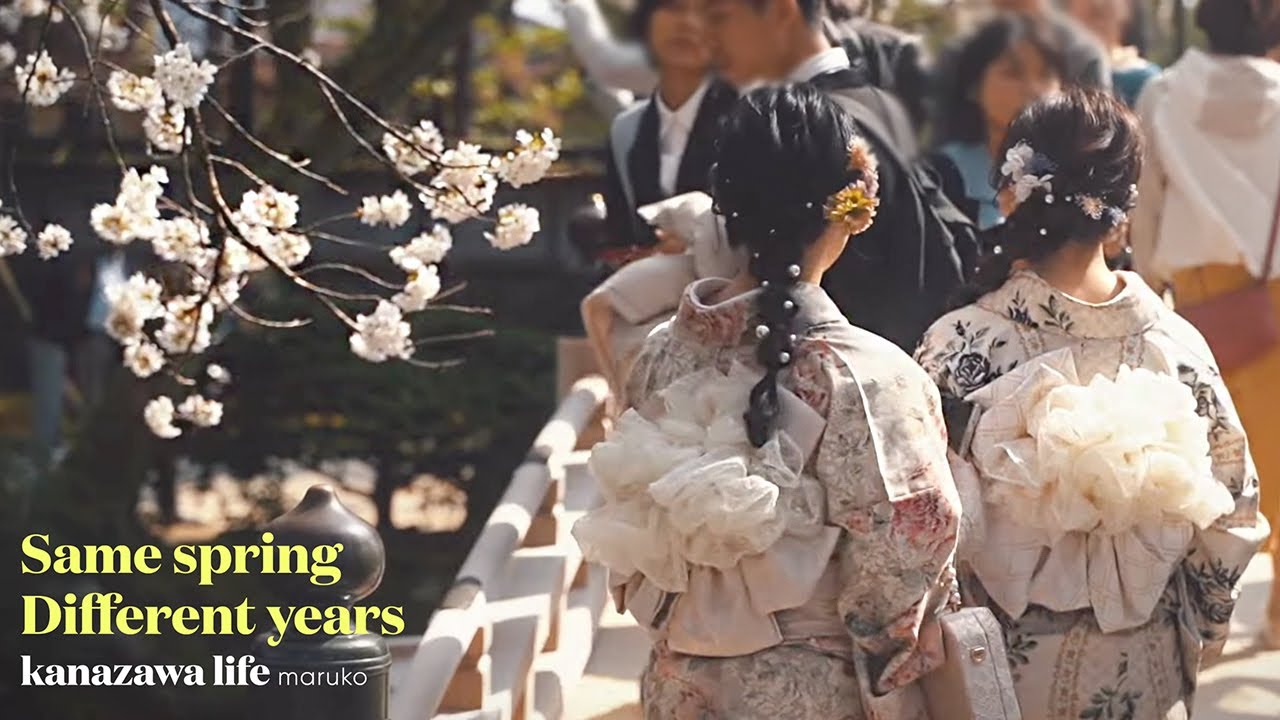 【🌸2026년 벚꽃 BGM】 가나자와 현지 벚꽃 종결영상 30분ㅣ 7년간의 기록 ㅣ 곧 봄이 올거예요.