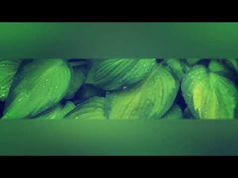 Marimba Herencia Q'anjob'al vol.3 - Full Album.