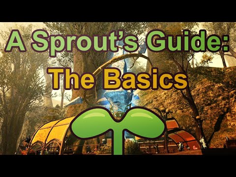 A Sprouts Guide: The Basics