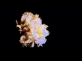 "Between Us": New Single from Patsy Moore Available Now at Bandcamp (BEST VIEWED IN 1080p HD)