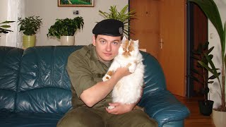 Ссылка