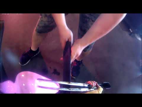download lagu mp3 mp4 Floppy Bowl, download lagu Floppy Bowl gratis, unduh video klip Floppy Bowl