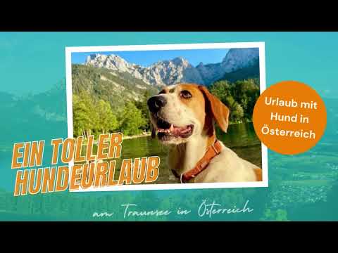 Urlaub mit Hund am Traunsee in Österreich - Ferienhaus Kuferhaus & Ferienhaus Im Sacherl, Whirlpool