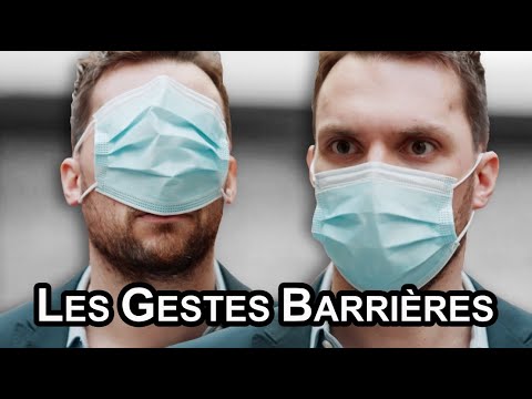 BARRIER GESTURES - The Perfect Stranger