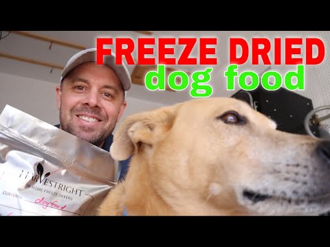 FREEZE DRIED DOG FOOD RECIPE --Homemade vs. Store Bought
