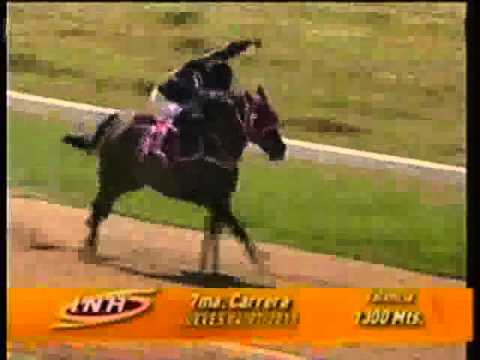 Resumen Jueves, 04 de Julio de 2013 - Valencia