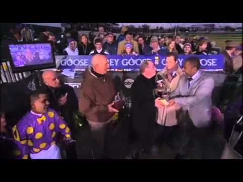 The Breeders' Cup 2010 Highlights