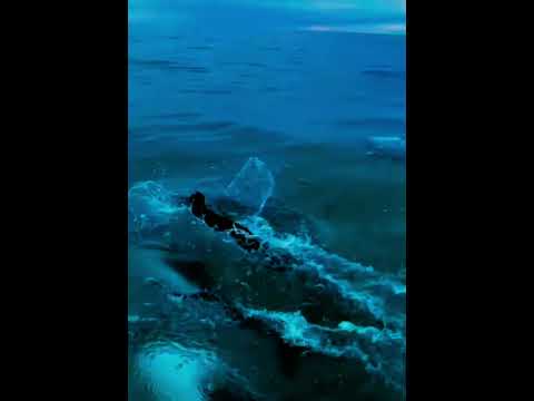 Puerto San Julián Patagonia Argentina 🇦🇷 #videodronesanjulian