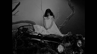 Cover art for ache