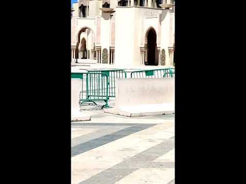 la trottinette électrique hx 8