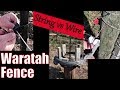 Putting Up A Waratah Fence