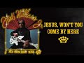 Hank Williams, Jr - "Jesus, Won't You Come By Here" [Official Audio]