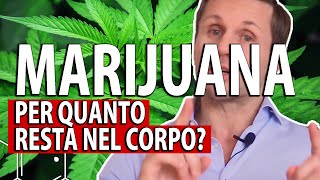 Marijuana: per quanto tempo la cannabis resta nel corpo? | avv. Angelo Greco