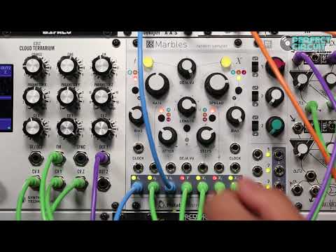 Mutable Instruments Marbles Sequencing Drums & Synths