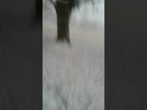 Happy Birthday Jada and DeShaun