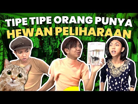 tipe-tipe-orang-punya-hewan-peliharaan