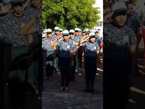 Pilotão Mirim de Coivaras Piauí #cultura