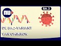 Waarom de BA.2-variant van omikron de 'sluipende variant' wordt genoemd | NU.nl