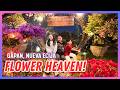 BOUGAINVILLEA HEAVEN IS REAL Casa Batik Gapan The Most Aesthetic Garden In Nueva Ecija
