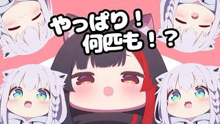 ホロドリ5位入賞で白上ふぶき複数人説を唱えるミオしゃ【ホロライブ切り抜き】