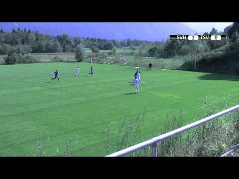 SVH-TSVO